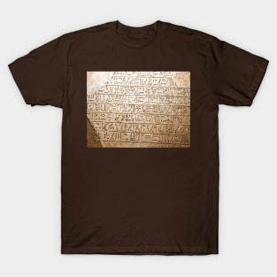 Egyptian Hieroglyphs T-Shirt